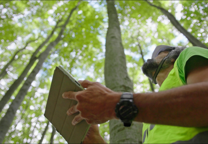 Entidades de certificación: trabador con una tablet en el bosque recogiendo datos