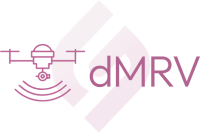 logo dMRV en morado